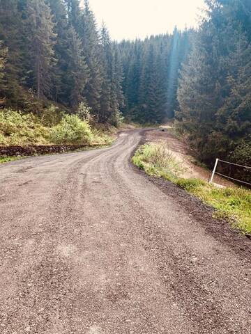 Фото Гостевой дом Cabana Cerbul-Oasa-Transalpina г. Ciban 5